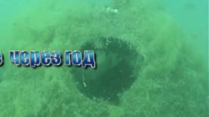 Создание рыбных мест в Черном море, рифболы.