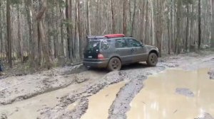 ML270CDI cdi w163 off-road wombat