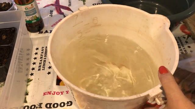 Весенняя посадка лука севка Обработка перед посевом Чеснок после обработки смотреть онлайн