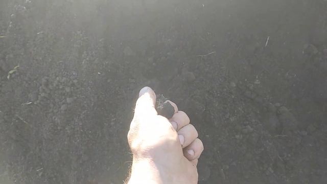 Плодородная земля для грядок и теплицы. Смесь чернозем с торфом.