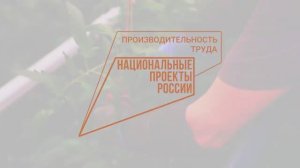 Реализация нацпроекта _Производительность труда_, Калужская область