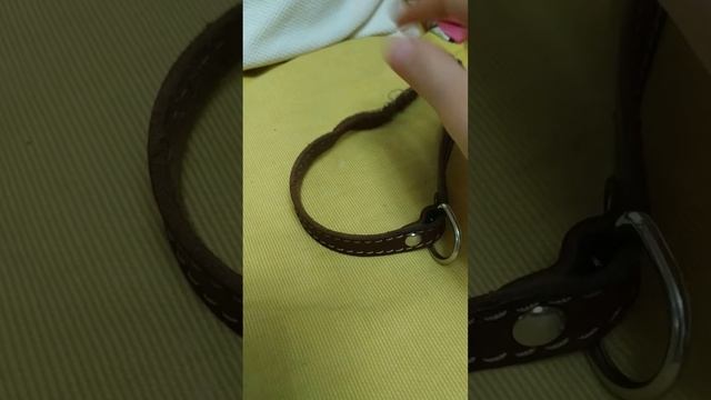 Что нужно для появления пёсика из Икеи? ( Только одежда ) смотреть онлайн