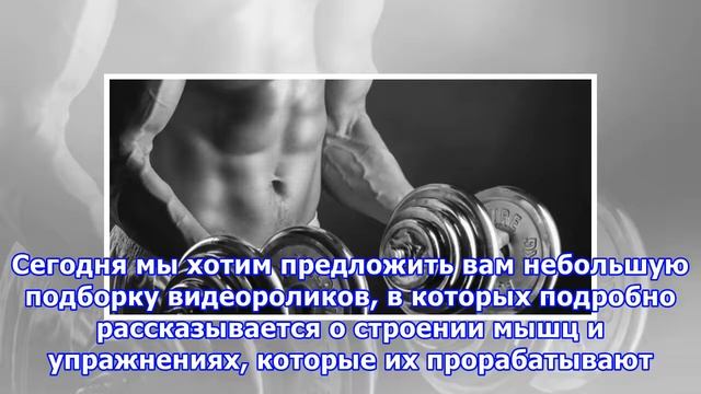 ВИДЕО: Как набрать мышечную массу смотреть онлайн