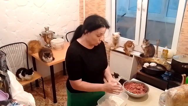 Жареные котлеты .История моего рода.