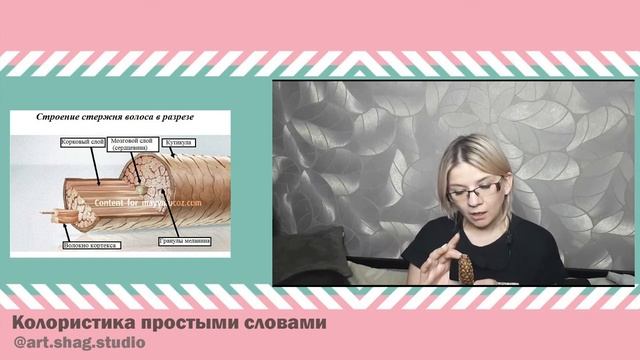 Простой пример строения волоса и процессов окрашивания. смотреть онлайн