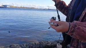 Ловля корюшки на фидер в черте города. Май 2023.