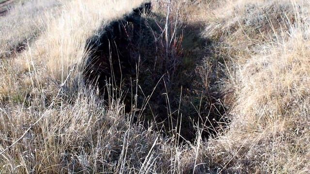 Прогулка за мост, слияние двух рек, собираем Чилигу. Walk across the bridge, sunny weather. смотреть онлайн