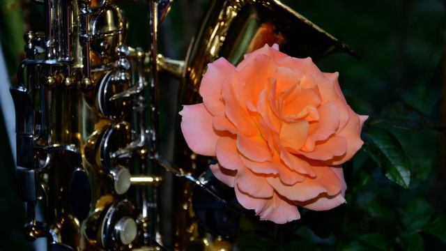 Romantic saxophone  Golden saxophone Fausto Papetti   Feelings  (50)      АК SAX MUSIC
