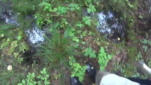 Озеро Молтаево, заброшенный санаторий и сапропель высшего качества.