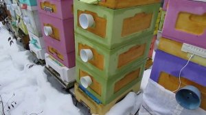 выбор 8 рамочного для заказа улья BienenHaus по акции, для пчеловода с больной спиной