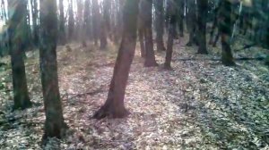 станица куринская!!!