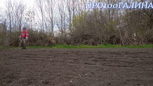 САЖАЕМ КАРТОШКУ смотреть онлайн