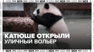 Выход в уличный вольер впервые открыли для панды Катюши - Москва 24