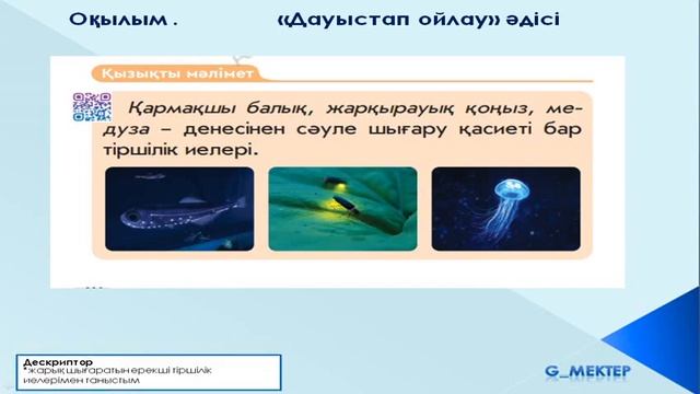 1 сынып, жаратылыстану, 27 сабақ