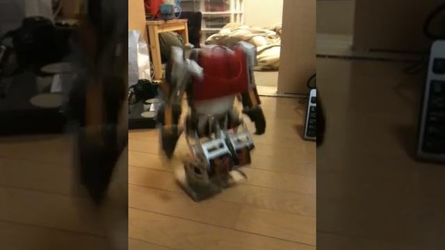 ROBOARD DMP ROBOT JUMP