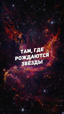 ТАМ, ГДЕ РОЖДАЮТСЯ ЗВЕЗДЫ | THE SPACEWAY