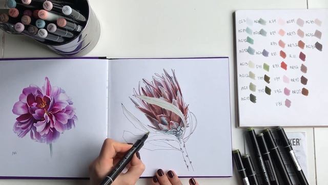 Видео-урок маркерами SKETCHMARKERS. Рисуем протею.