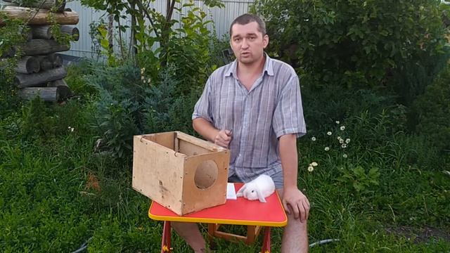 Роды декоративного кролика, подготовка к родам кроликов смотреть онлайн