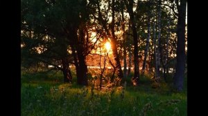 Йога-нидра, relax видео ►Медитация