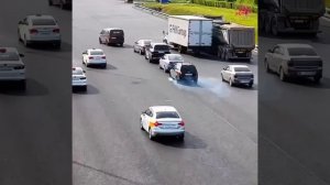 Утята не пострадали!