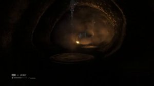 Присосался ксеноморф