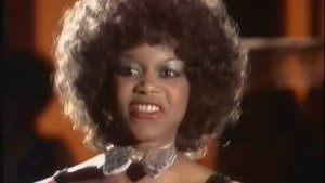 Cherry Laine  - Catch the cat