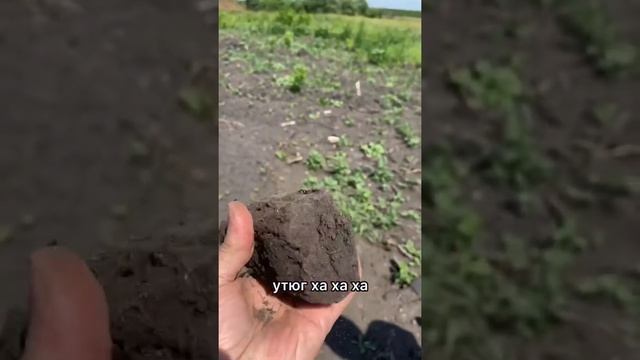 Нашли старинный утюг на месте заброшенной деревни