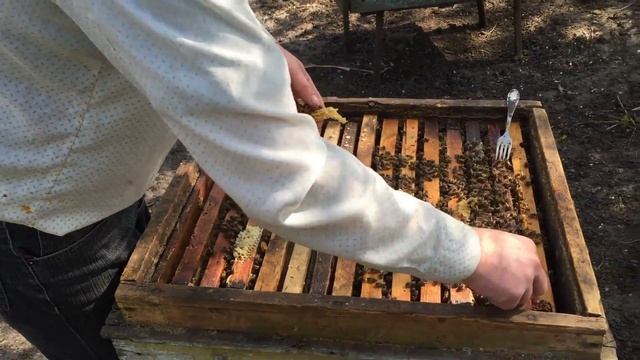 Пасека - Пчеловодство Как Добыть МЁД! Открытие Сезона! смотреть онлайн