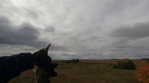 Охота после болезни!( Охота на уток, охота на тетерева! retay gordion