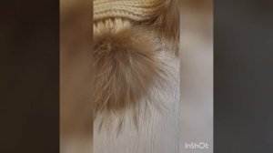 Видеообзор. Комплект вязаный шапочка и шарфик Белочка.