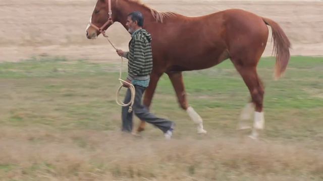 Samhoon ex Lavender Mist 1 смотреть онлайн