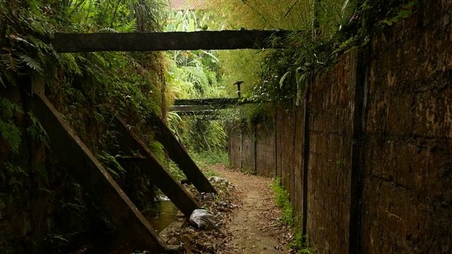 Lumix G85 The best 5 Axis Stabilizers Camera/Test Footage with panasonic 25mm f1.7 смотреть онлайн