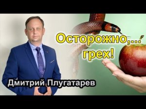 Осторожно, грех! / Плугатарев Дмитрий