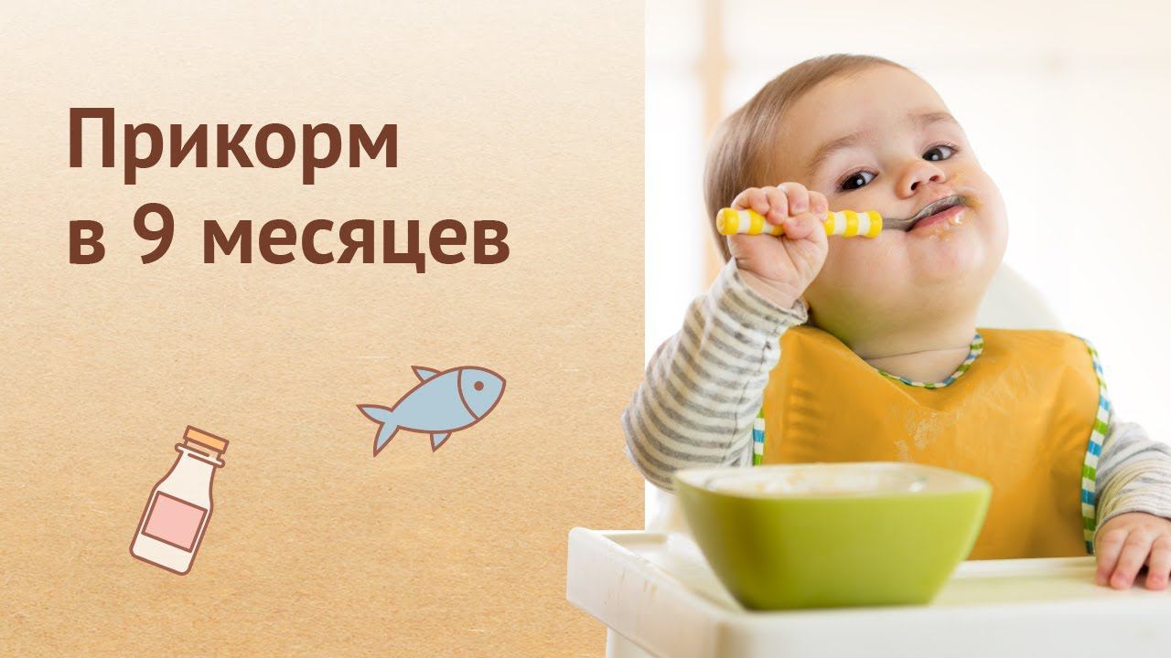 Прикорм ребенка в 9 месяцев. Съем сам! #babyfood #прикорм #дети