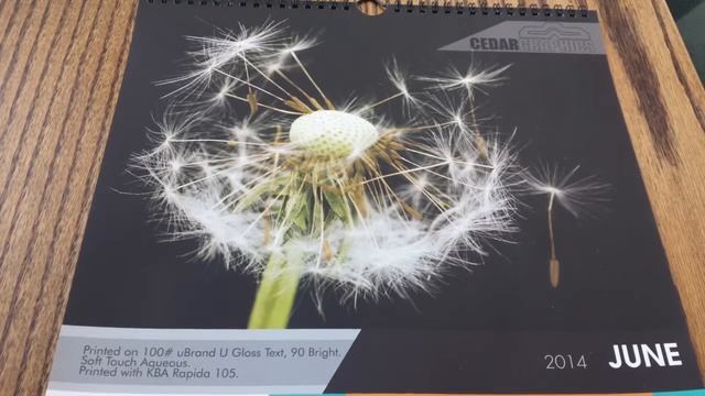 Soft Touch Coating for June Calendar смотреть онлайн