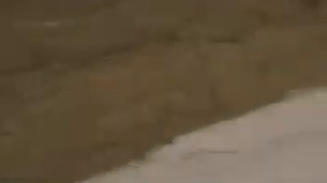 Mounds of Pollen with the Python Trimmer смотреть онлайн