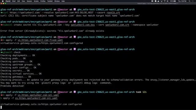 Protecting Applications with L4 and L7 Network Encryption (TLS/mTLS) with Gloo API Gateway смотреть онлайн