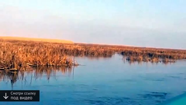 базы отдыха в астрахани с бассейном смотреть онлайн