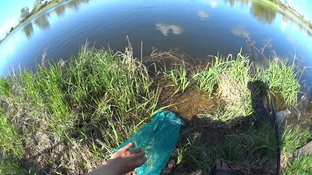 Жор уклейки перед нерестом, Чукалы, деревенский пруд смотреть онлайн