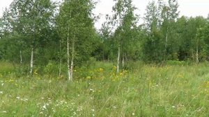 Квадроцикл Стелс Леопард 500 YS не много про прицеп