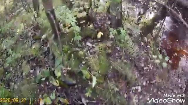 Рыбалка на ДОНКИ река СЕСТРА смотреть онлайн