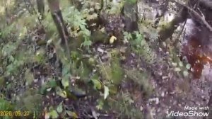 Рыбалка на ДОНКИ река СЕСТРА