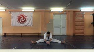 Онлайн- тренировка по Карате. Урок 1