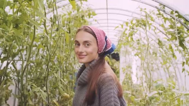 Многие едят ПОМИДОРЫ, но 90% даже не знают о том, ЧТО ТВОРЯТ ПОМИДОРЫ С ОРГАНИЗМОМ...Польза и вред.