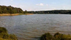 ? Прогулка на самокатах по Измайловскому парку