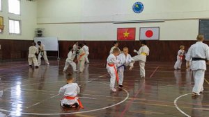 Международная тренировка по Киокушинкай каратэ с японским тренером