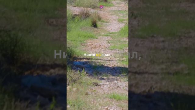 Тайна исчезновения колонии Роанок