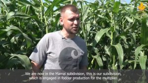 40 тонн кукурузы с гектара – результат слаженной работы