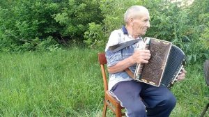 Гармонист самоучка (Любительская гармонь) - Коробочка