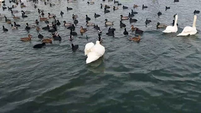 Последние выходные 2021! Проводим год весело и приятно! смотреть онлайн